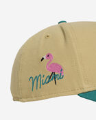 9Fifty Miami Dolphins City Sidepatch Snapback Hat