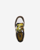 Big Kids' Dunk Low