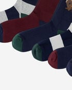 Polo Ralph Lauren Head Of The Charles Bear 6Pk Crew Socks (L) 821594PK3-991 Multi 3