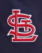 St. Louis Cardinals Classic Chenille Double Knit Pull Over Hoodie