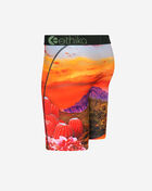 Desert Dogs Briefs