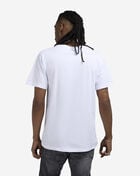 Reason NLB Detroit Stars Tee RE5-055-WHITE White 2