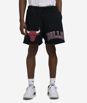 Chicago Bulls Mesh Shorts