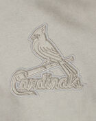Big Boys' St. Louis Cardinals Neutral Fleece Pull Over Hoodie