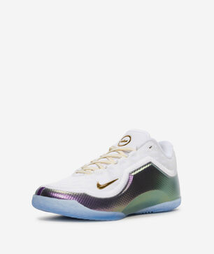 Big Kids' LeBron XXIII "For The Record"