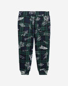Plaid Fleece Graphic Jogger Pant