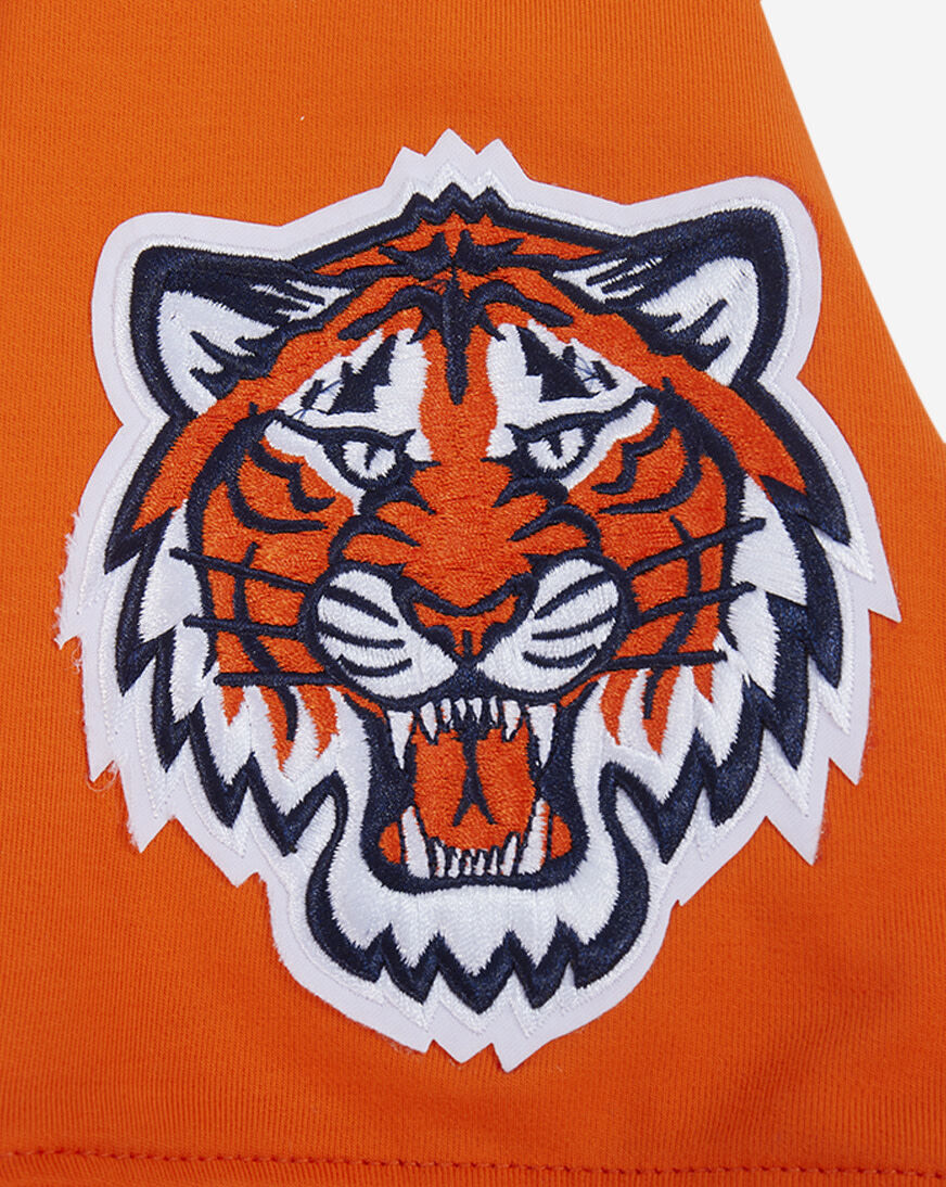 Shop PRO STANDARD Detroit Tigers Classic Chenille Double