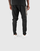 adidas Tiro 17 Pant DM2796 Black 2