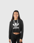 Cropped Hoodie