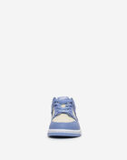Nike Little Kids' Dunk Low  FB9108-400 Blue 3