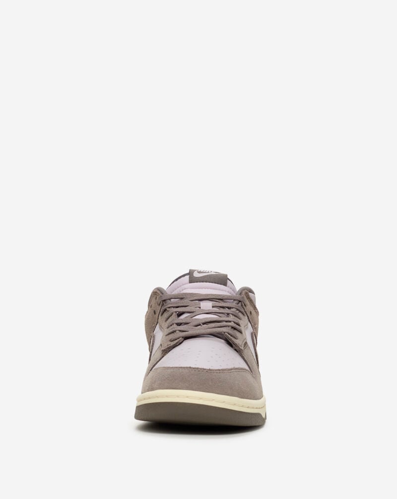 Nike Dunk Low Retro SE FQ8249-001 Brown 3