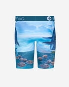 Voyage Briefs