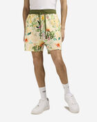 Esoteric Shorts