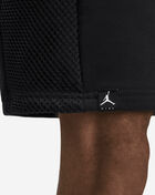 MJ Jumpman Fleece Shorts