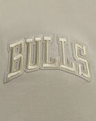 Chicago Bulls Neutral Drop Shoulder Tee