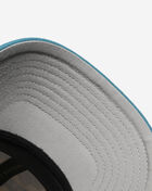 Charlotte Hornets Game on Pro Snapback Hat