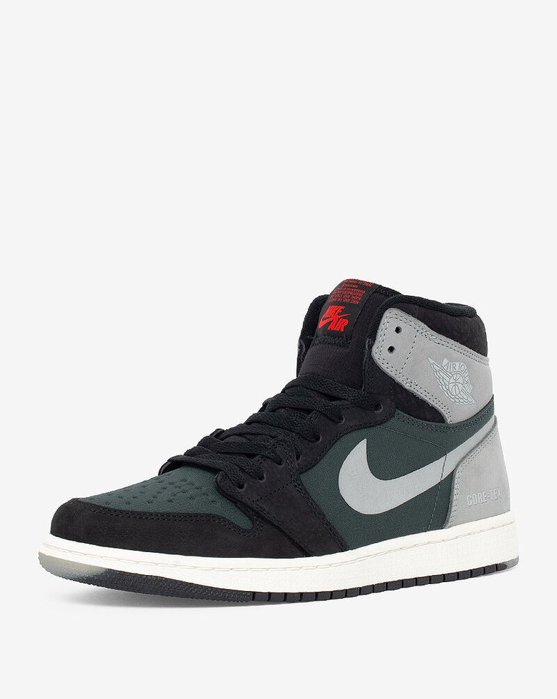 Jordan Air Jordan 1 High Element GORE-TEX DB2889-001 Multi 2