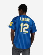 Mitchell  Ness Brooklyn Royal Giants Francisco Lindor Authentic Batting Practice Pinstripes Jersey JY19323-BRGMBYW Blue 2