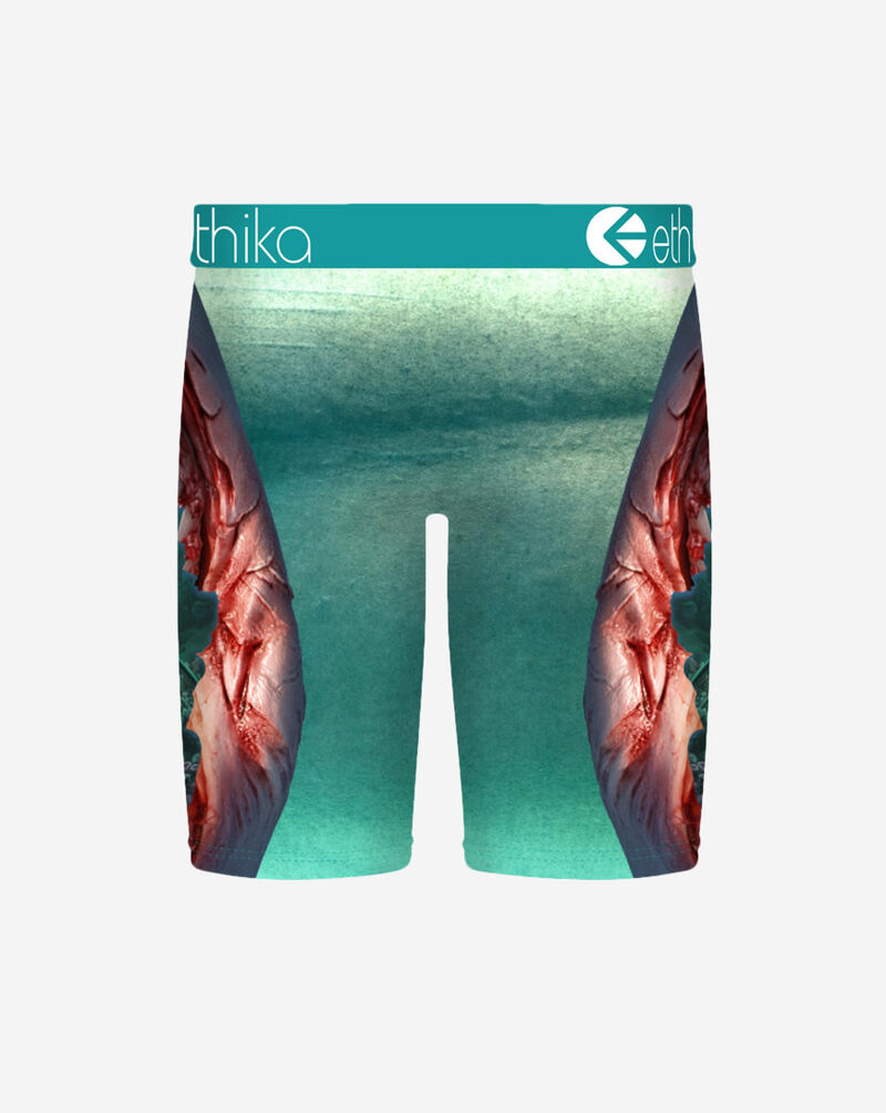 Ethika Food Chain Briefs MLUS3595 Multi 3