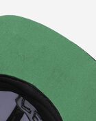 Boston Celtics Fast Times Snapback Hat