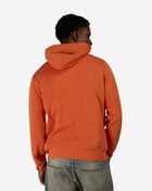 Polo Ralph Lauren Fleece Novelty Litchfield Bear Hoodie 710B27075002-SOL Orange 2