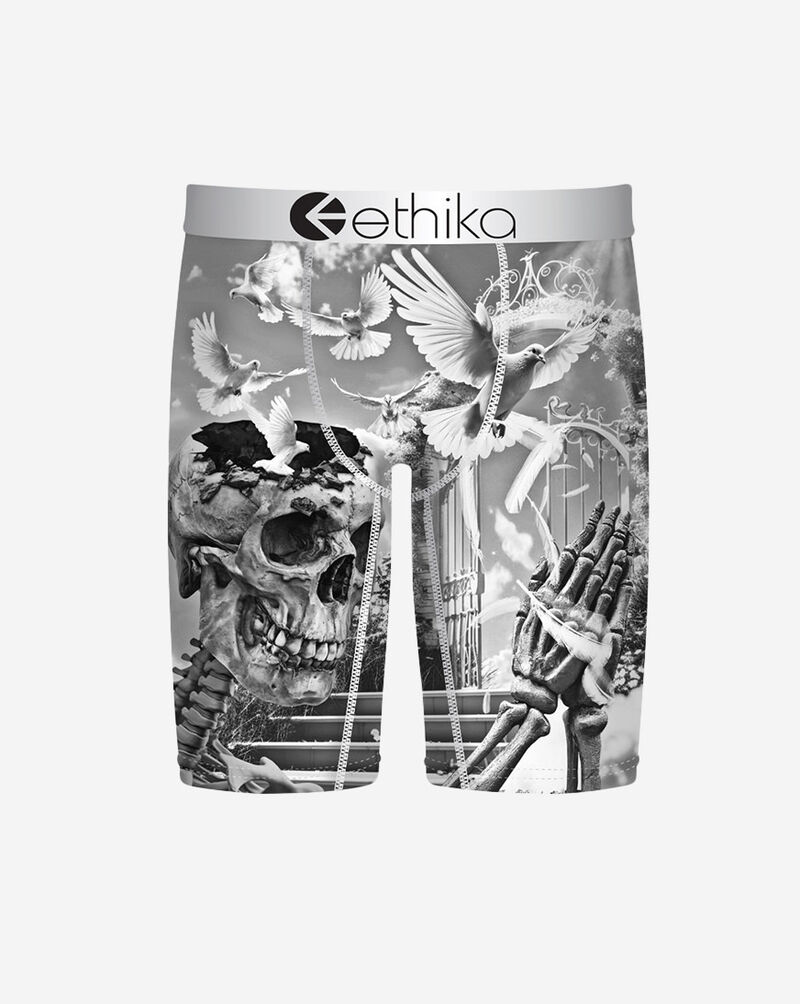 Ethika Free Ya Mind Briefs MLUS3606 Multi 1