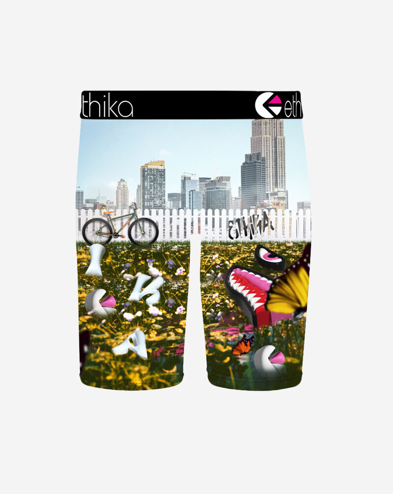 Ethika Grade School BMR 3Dreamin Briefs  BLST3517 Multi 3