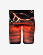Tiger Gang Briefs