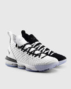Lebron 16 "Equality"