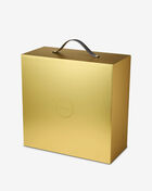 Nike LeBron XXIII "Shut Up And Dribble" IH1513-002 Grey 10