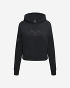 Chicago Bulls Triple Black Cropped Pullover Hoodie