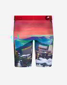 Astro Zoo Briefs