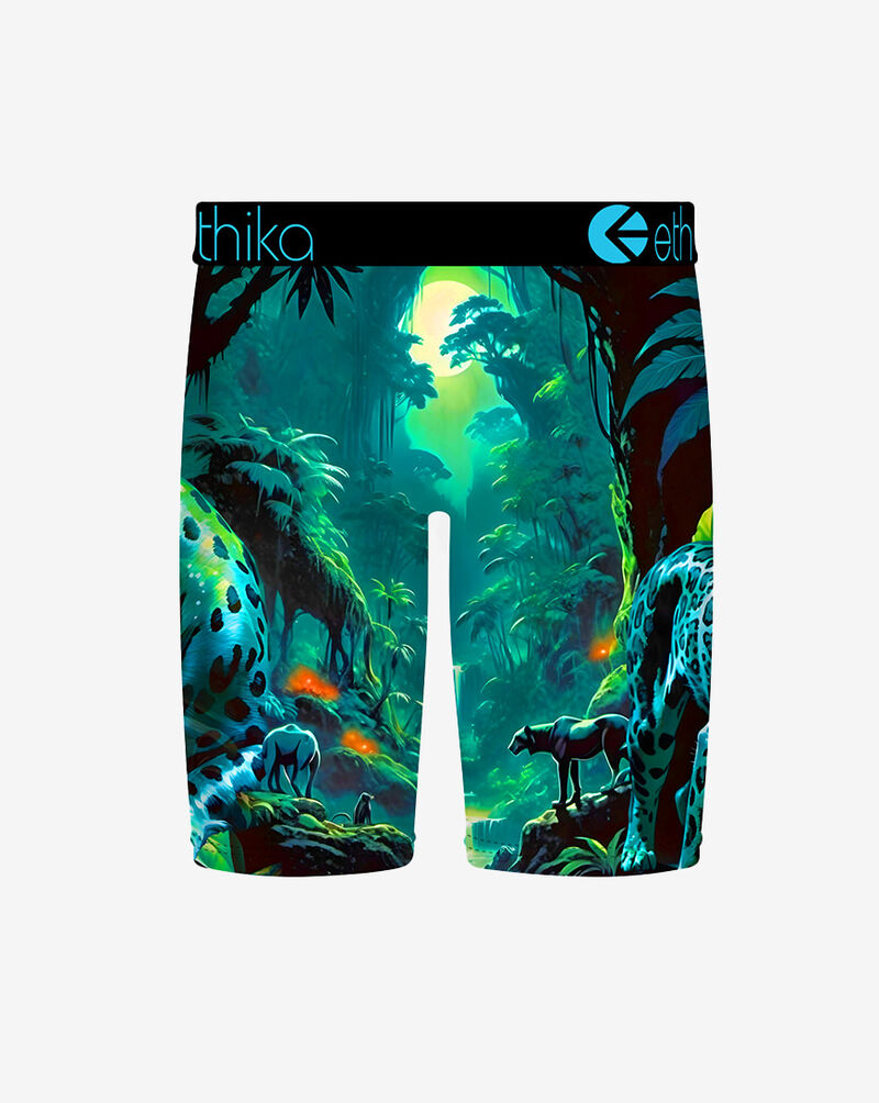 Ethika Lumileps Briefs  MFAAAF2522 Multi 3