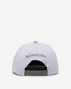 Chicago Bulls Cool Grey 7 Snapback