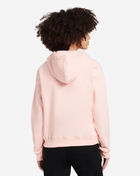 Reverse Weave Pullover Hoodie