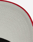 Detroit Red Wings Pro Snapback Hat