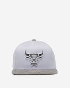 Chicago Bulls Cool Grey 7 Snapback