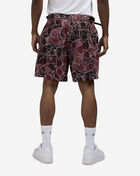 The North Face Class V Pathfinder Belted Shorts NF0A8BHV-61G Multi 2