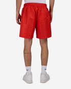 Nike 7" Fully Lined Swim Shorts NESSG504-638 Red 2