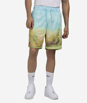 Paradise Walk On Shorts