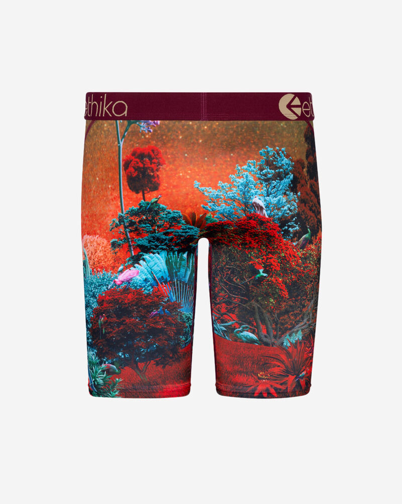 Ethika Forest Tiger Briefs MLUS3176 Multi 3