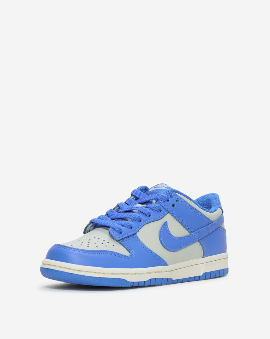 Shop Nike Big Kids' Dunk Low FB9109-004 blue | SNIPES USA