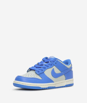 Big Kids' Dunk Low