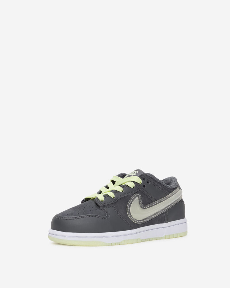 Nike Little Kids' Dunk Low HQ3241-068 Grey 2