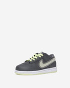 Little Kids' Dunk Low