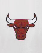 PRO STANDARD Chicago Bulls Retro Classic Rib Wool Varsity Jacket BCBH56213-ERD cream 2