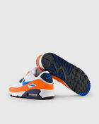 Air Max 90 Essential