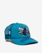 Charlotte Hornets Puff the Magic Trucker