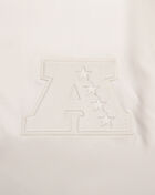 Las Vegas Raiders Neutral Twill Jacket