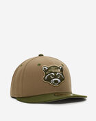 59Fifty Hudson Valley Renegade MILB Fitted Hat